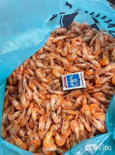 Креветка азовская