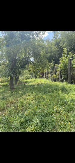 Дача 10 м² на участке 6,5 сот.