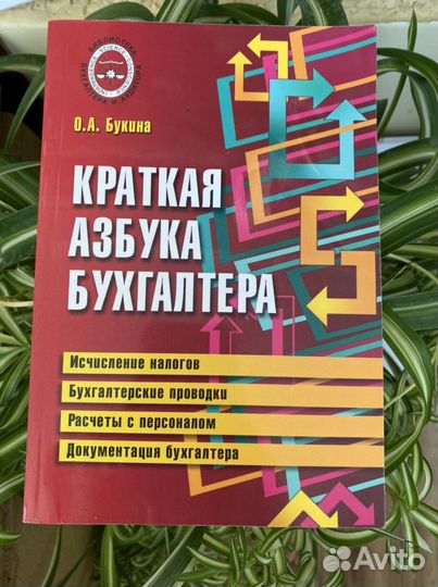 Книга бухгалтера