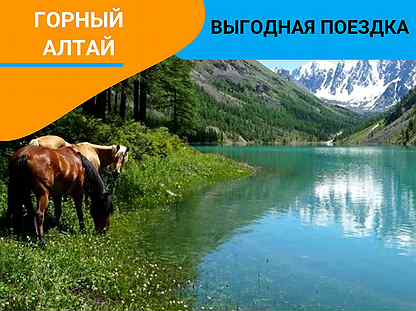 Турпоездка в Горный Алтай от 1-го чел