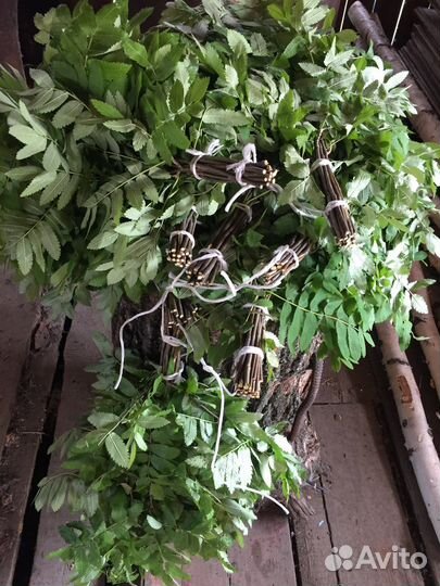 Веники дубовые