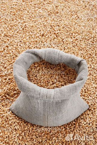 Пшеница, ячмень, кукуруза, комбикорм в мешках