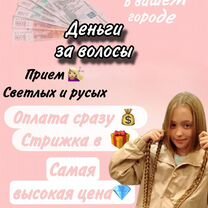 Скупка волос/срезка волос/деньги за волосы, Гомель