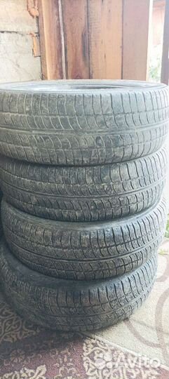 Accelera 651 175/65 R14