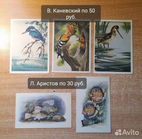 Открытки животные птицы Исаков Каневский Аристов