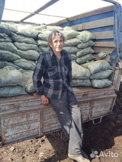 Аргонический навоз