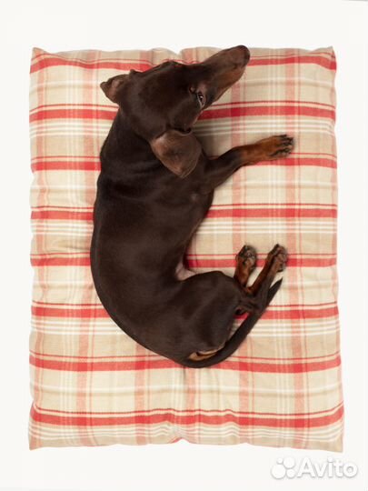 Лежак для собак и кошек