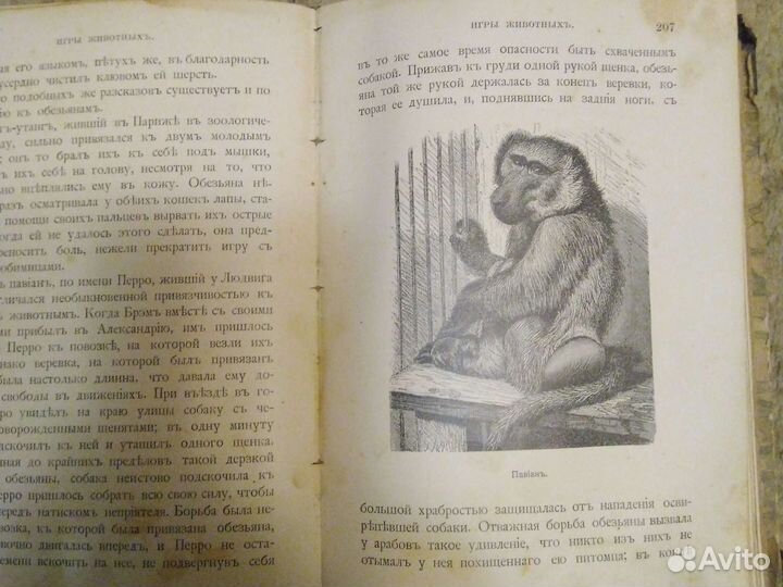 Антикварная книга Павел Вольногорский Страницы из