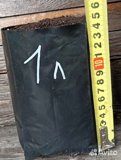 Пакеты для саженцев 1, 2 и 3 литра