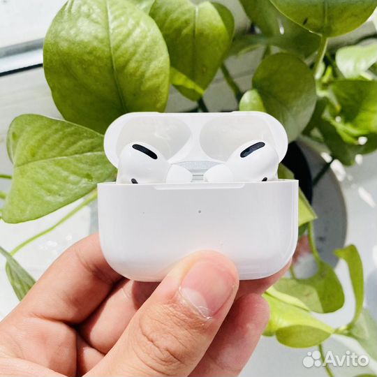 Airpods pro Premium + Гарнтия