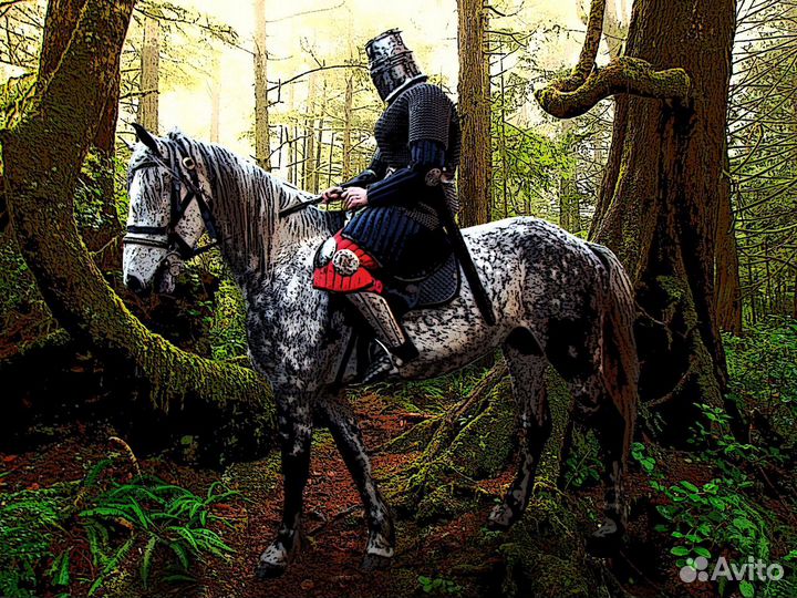 Экскурсии по Калининграду и области