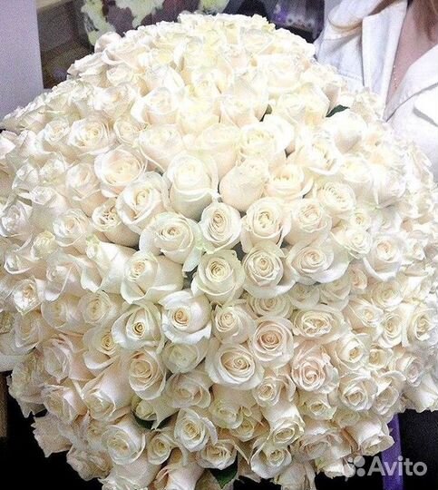 Высокие Высокие розы Гигантские розы Букеты Достав