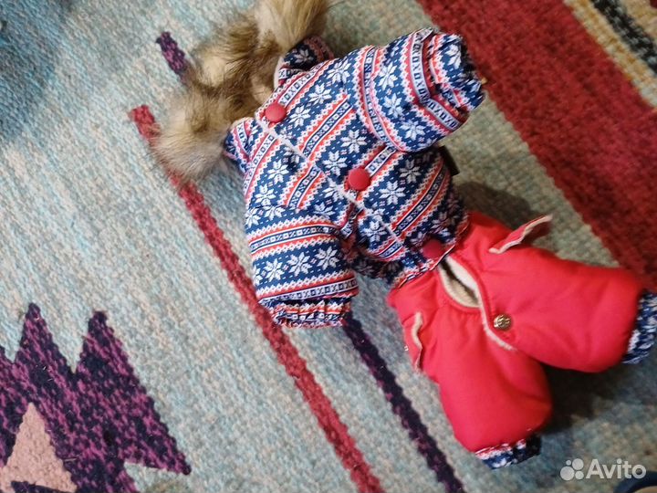 Комбинезон для маленькой собаки мальчик