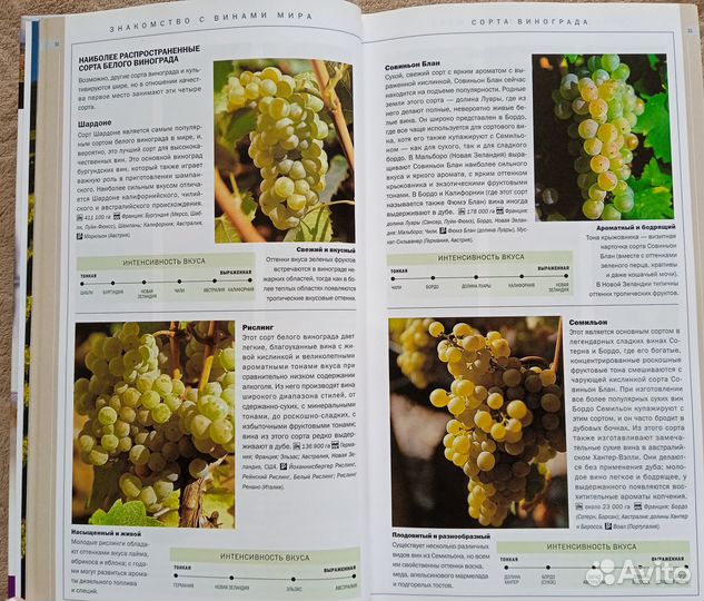 Путеводитель Вина мира