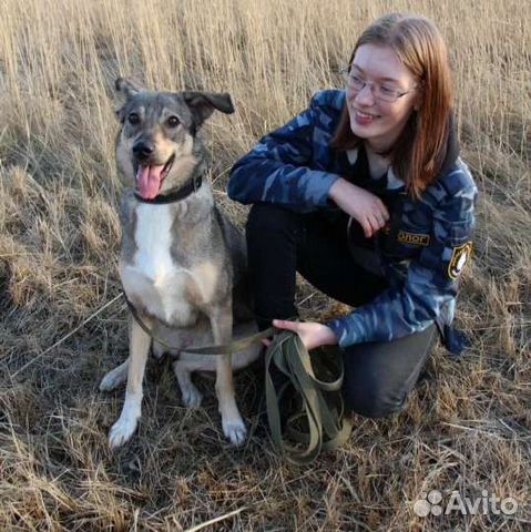 Услуги кинолога, дрессировка собак