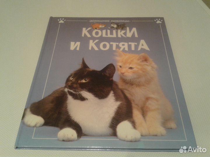 Книги про кошек