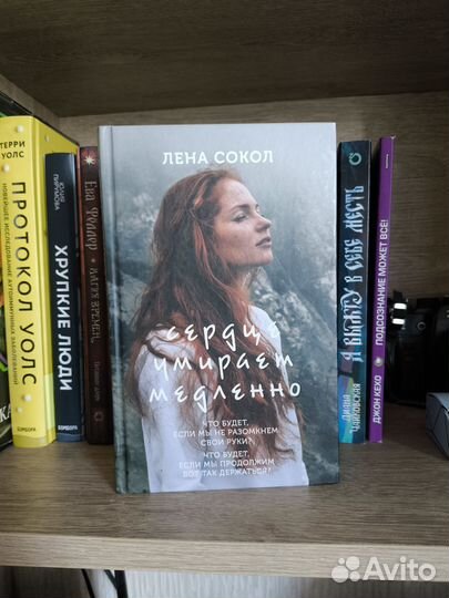 Книги лены сокол