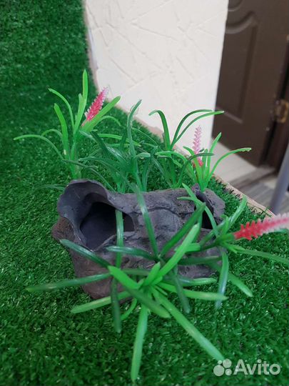 Декор для аквариума