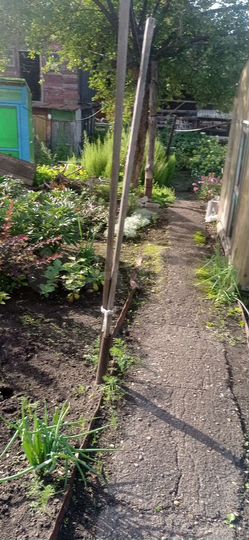 Дом 50 м² на участке 3,2 сот.