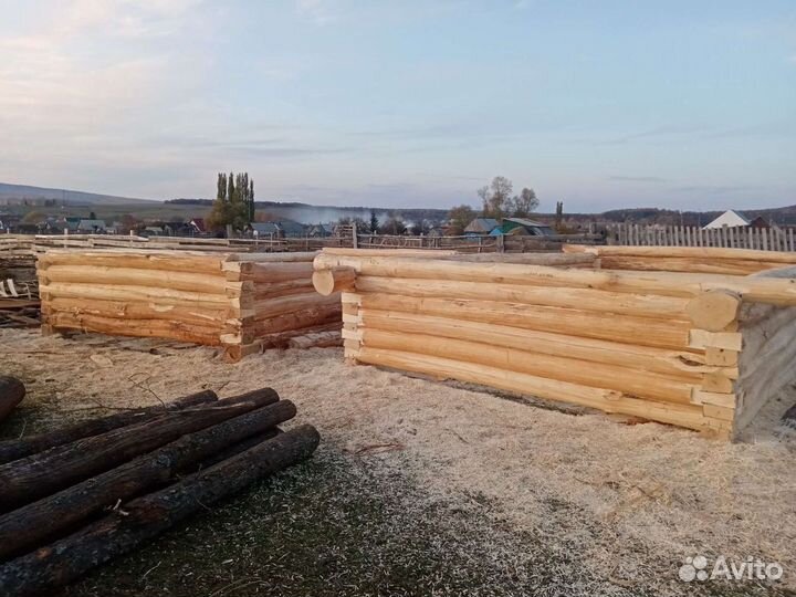 Срубы из липы