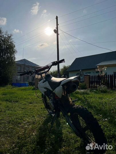 Virus pitbike 125 2021
