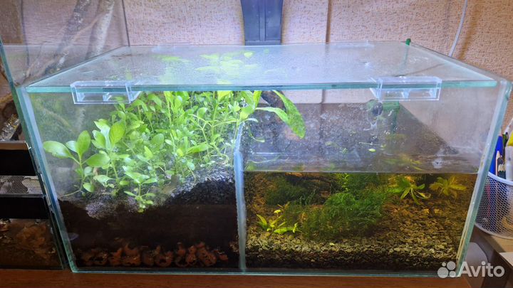 Акватеррариум