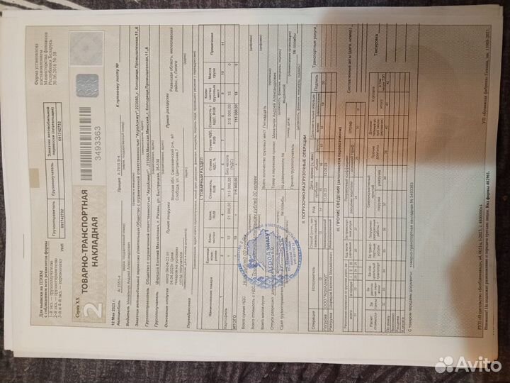 Картофель семенной