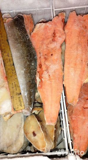 Горбуша см, филе горбуши