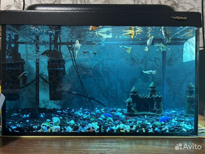 Аквариум