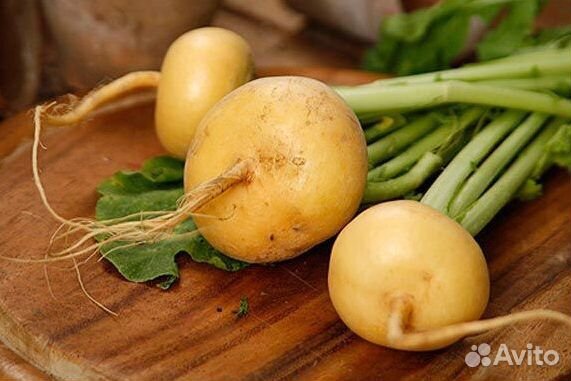 Семена репы