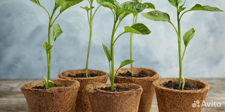 Торфяные горшочки 8 х 8 см, 350 мл