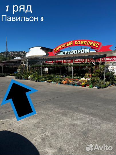 Аренда прибора толщиномер