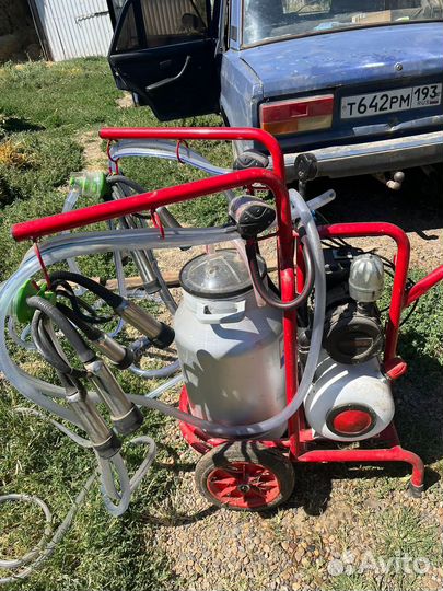 Доильный аппарат для коров бу