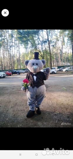 Поздравление от Мишки Тедди