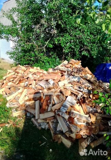 Дрова Осина любого объема от производителя в Приоз