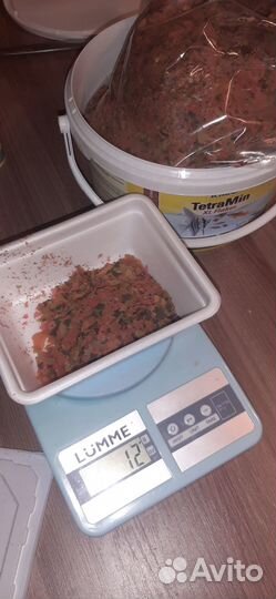 Аквариумные растения и корм для рыбок