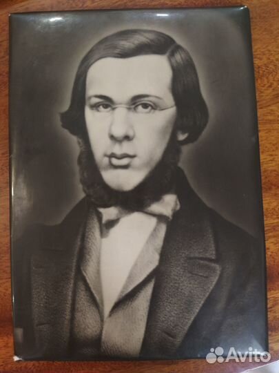 Портрет Н. В. Добролюбова