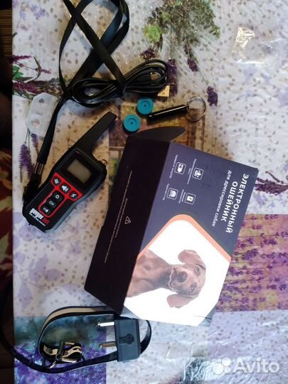 Ошейник для собак