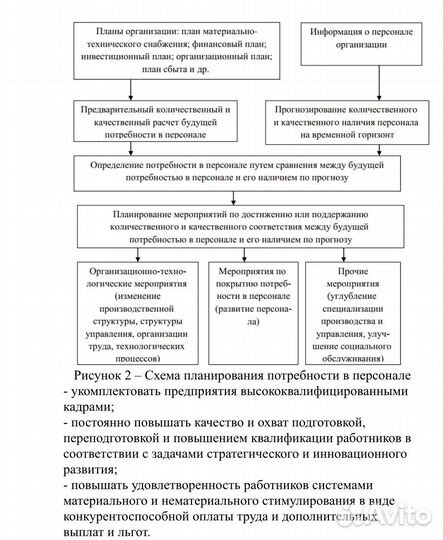 Помощь с курсовой, вкр. Отчет по практике
