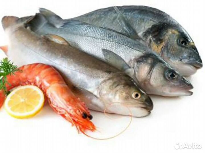 Готовый бизнес – рыбный магазин