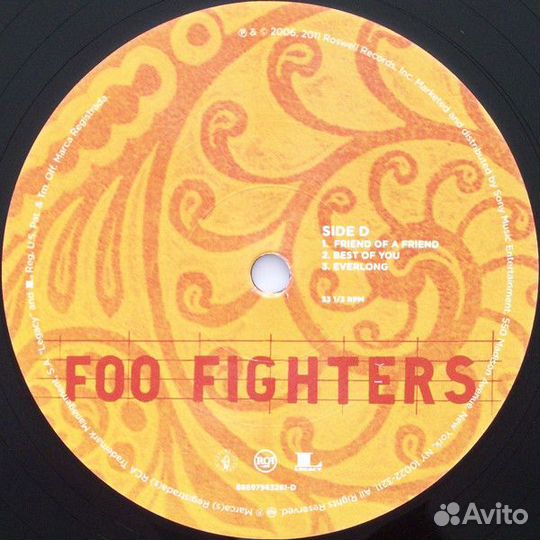 Виниловая пластинка Foo Fighters skin AND bones (1