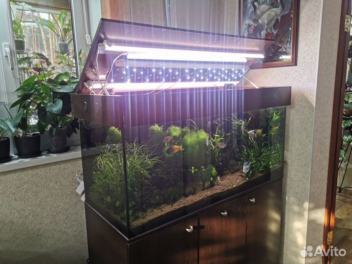 Аквариум