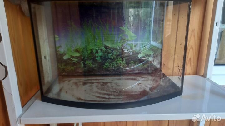 Аквариум - террариум