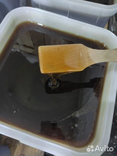 Мёд таёжный, опт