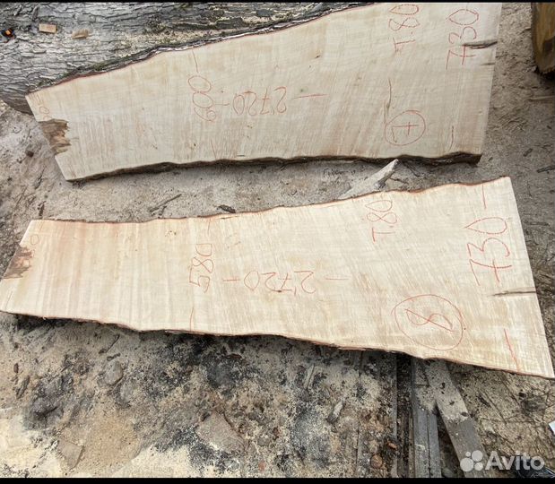 Ясень торцевые спилы