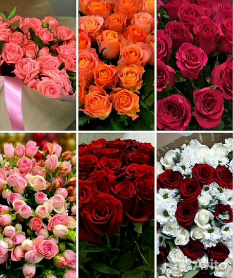 Абельмон, букет роза 40,50,60 опт, розница