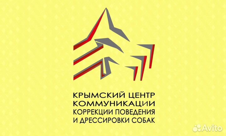 Кинолог. Дрессировка собак