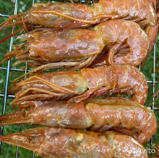 Лангустины L2