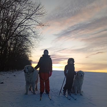 Пиренейская горная собака, щенок