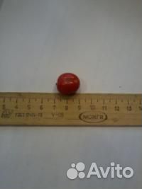 Плодовая экзотика- евгения рейнвардтиана